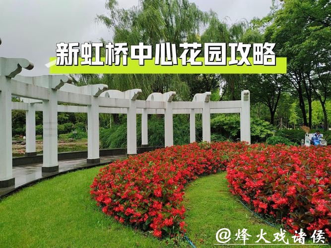 虹桥花市焕新升级,新增6300平方米公园绿地,并引入新业态 虹桥花市焕新升级,新增6300平方米公园绿地,并引入新业态