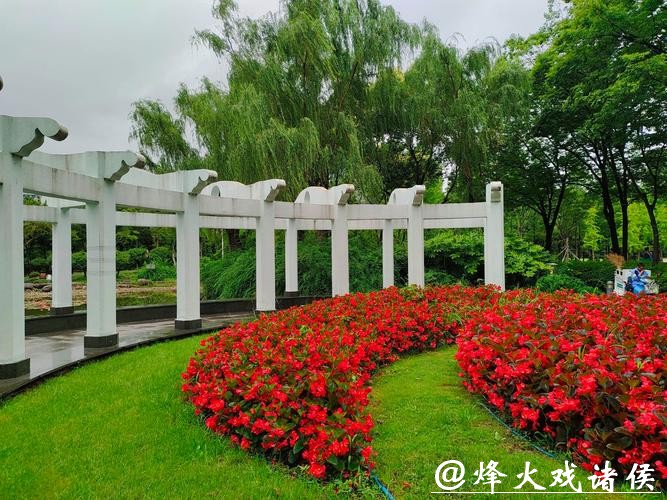 虹桥花市焕新升级,新增6300平方米公园绿地,并引入新业态 虹桥花市焕新升级,新增6300平方米公园绿地,并引入新业态